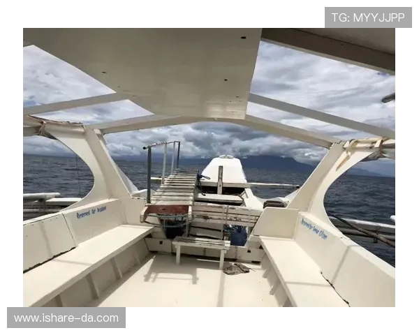 成都极限运动队与深圳极限运动队赛后复盘灵活性分析与战术对比